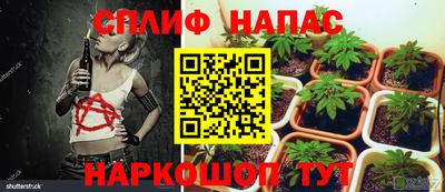 твердый Малгобек