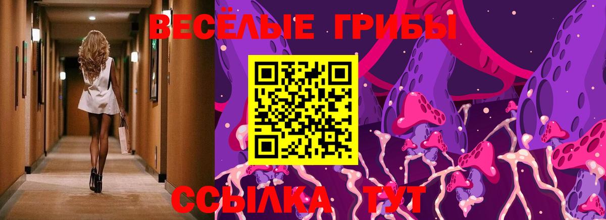 где купить наркоту  Галлюциногенные грибы Magic Shrooms  Вход с VPN  Уссурийск 